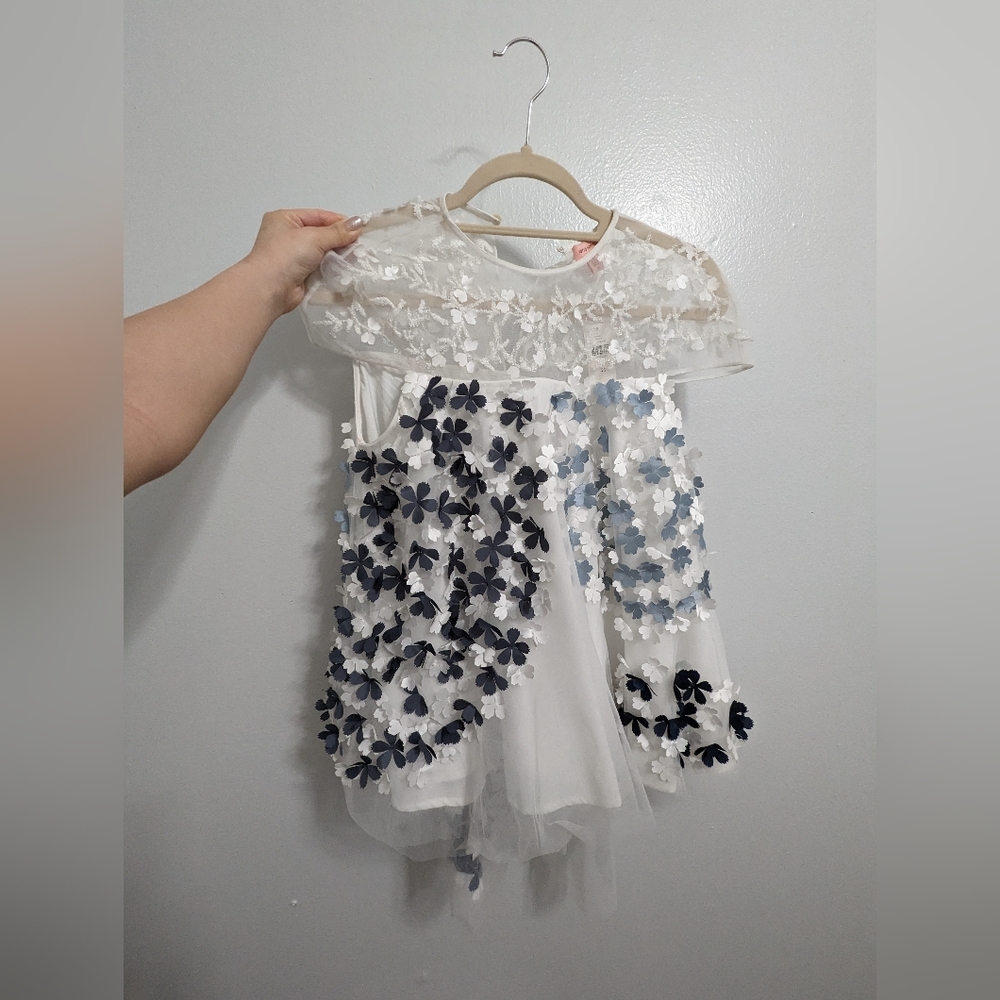 Anthropologie Tulle Blouse